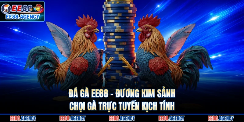 Đá Gà EE88 - Đương Kim Sảnh Chọi Gà Trực Tuyến Kịch Tính